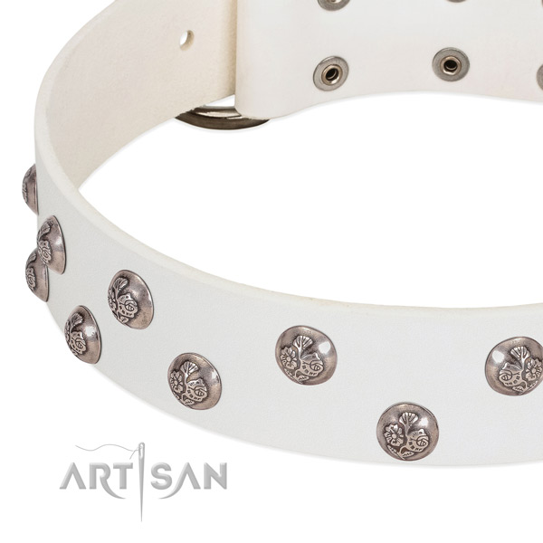 Leather dog collar with durable fittings and studs