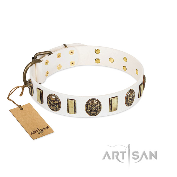 Awesome full grain genuine leather dog collar for everyday use