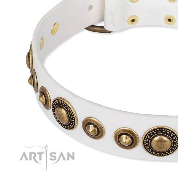 Soft full grain leather dog collar handcrafted for your stylish canine