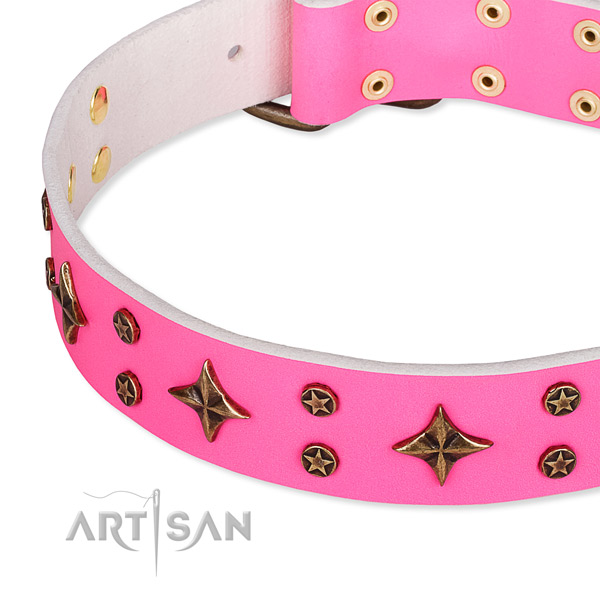 Everyday use decorated dog collar of finest quality full grain genuine leather