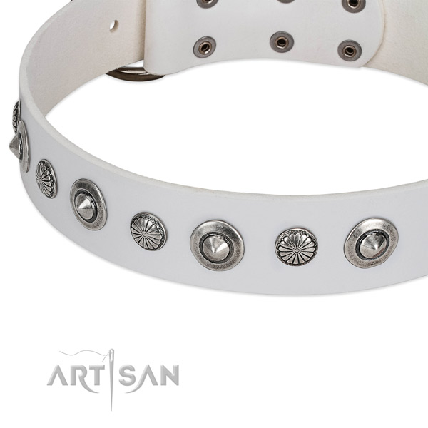 Natural leather collar with rust-proof fittings for your impressive pet