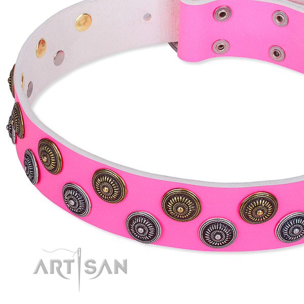 Fancy walking embellished dog collar of top notch full grain leather