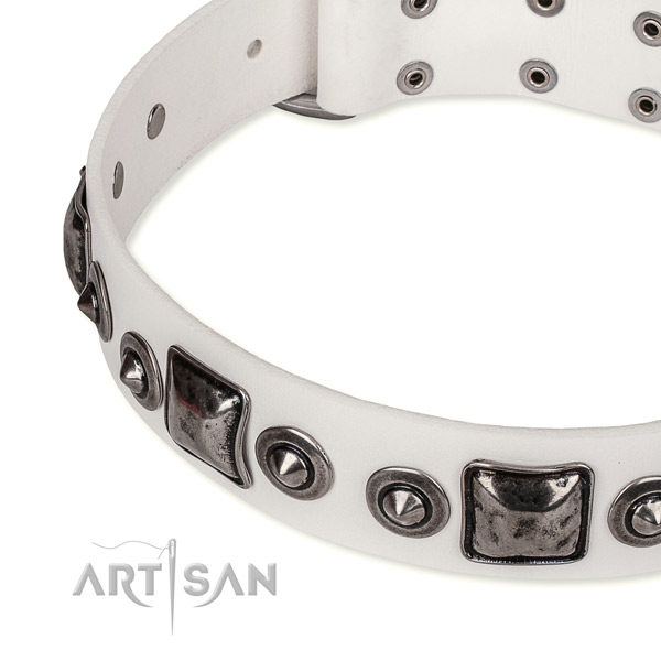 Reliable full grain leather dog collar created for your lovely canine