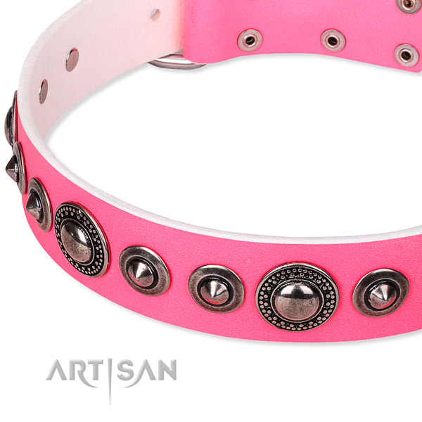 Daily walking adorned dog collar of top quality full grain natural leather