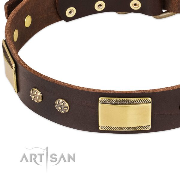 Corrosion proof D-ring on genuine leather dog collar for your canine