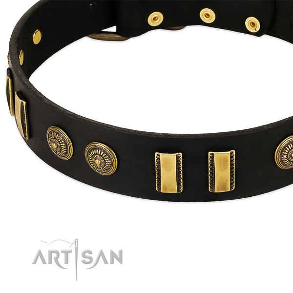 Rust resistant studs on natural leather dog collar for your doggie