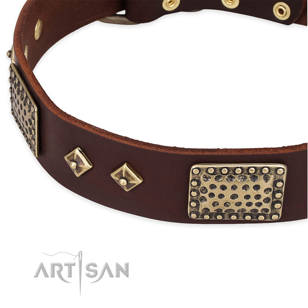 Strong studs on full grain leather dog collar for your doggie