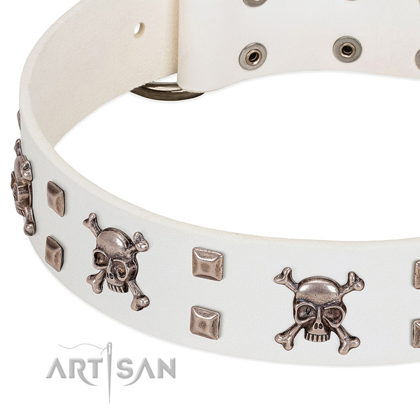 Rust resistant studs on full grain natural leather dog collar