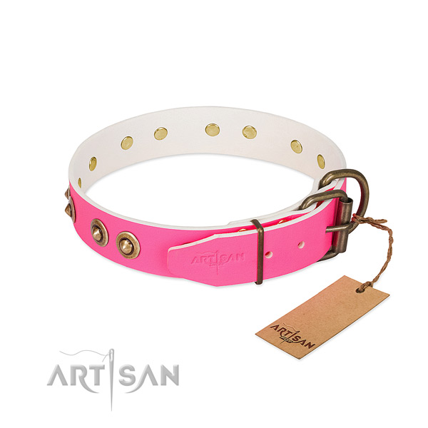 Leather dog collar with durable fittings and studs