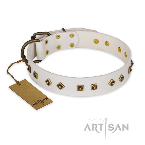Decorated leather dog collar with corrosion resistant buckle
