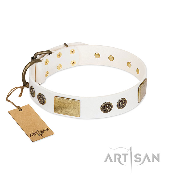 Designer full grain leather dog collar for daily use