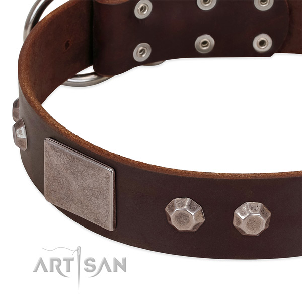 Everyday walking quality full grain natural leather dog collar