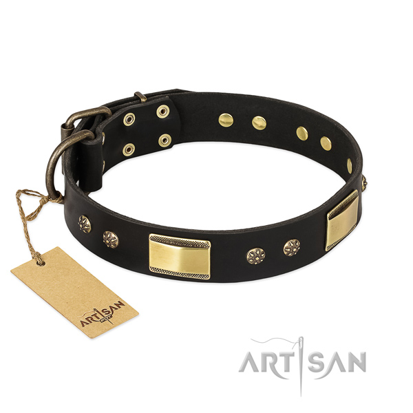 Unique full grain leather dog collar for handy use