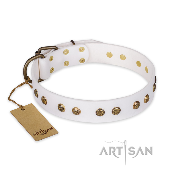 Handmade full grain natural leather dog collar with corrosion resistant fittings