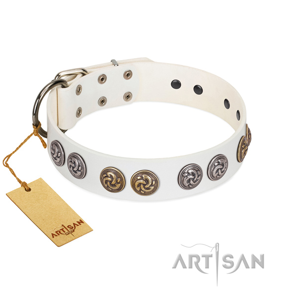Exquisite collar of genuine leather for your attractive dog