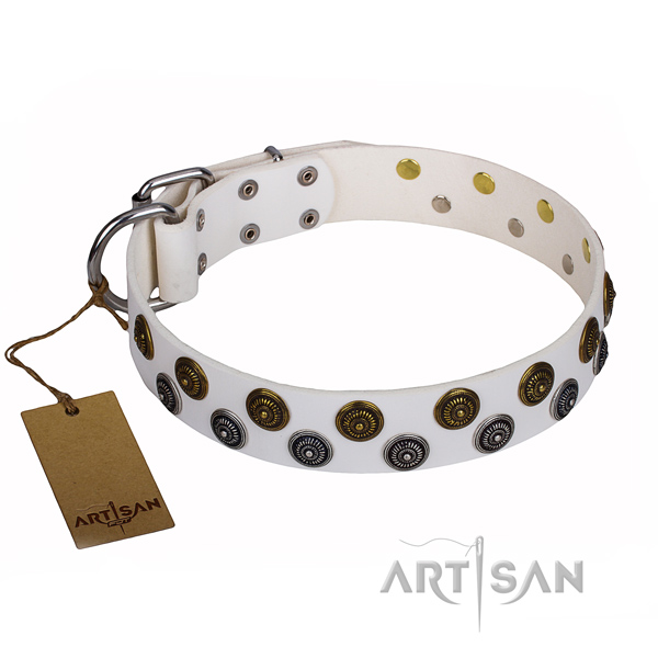Basic training dog collar of best quality natural leather with adornments