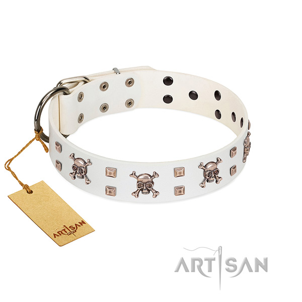 Unique leather collar for your impressive canine