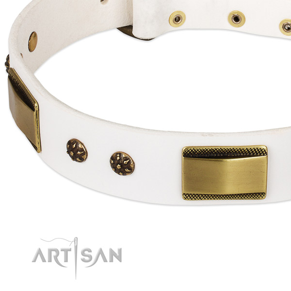 Corrosion proof decorations on leather dog collar for your four-legged friend