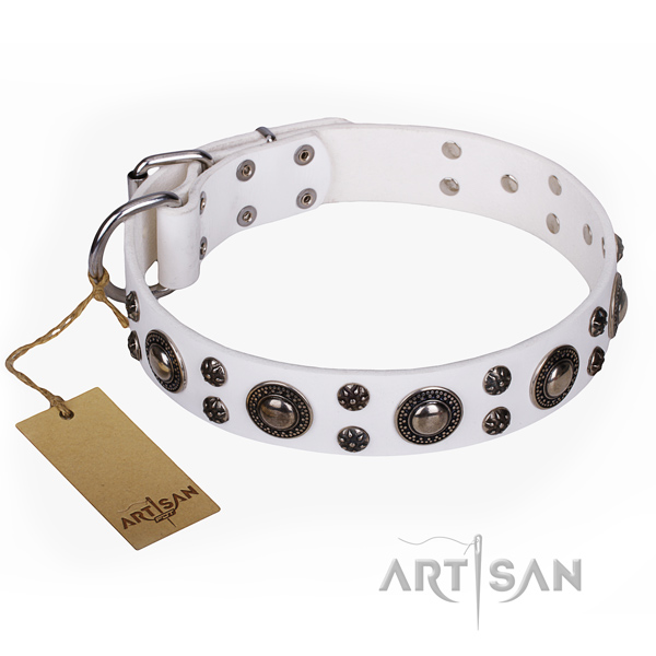 Comfy wearing dog collar of top notch full grain leather with decorations
