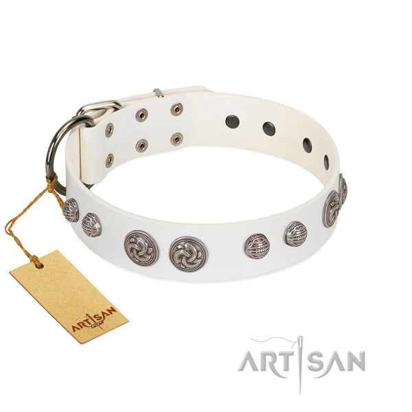 Rust resistant hardware on full grain leather dog collar for your four-legged friend