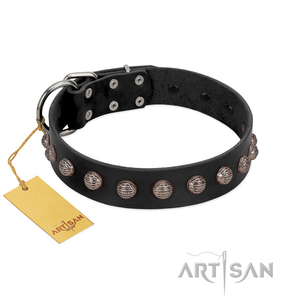 Corrosion proof D-ring on fashionable full grain genuine leather dog collar
