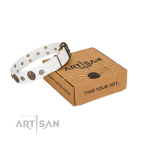Rust-proof fittings on leather dog collar for everyday use