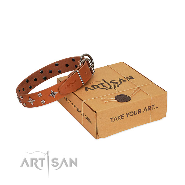 Unusual leather collar for your four-legged friend walking in style