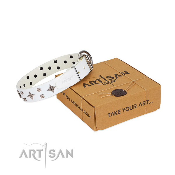 Unusual genuine leather collar for your dog stylish walks