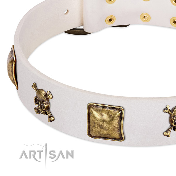 Fancy walking leather dog collar with impressive studs