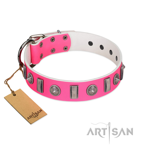 Quality full grain leather dog collar with studs for your doggie