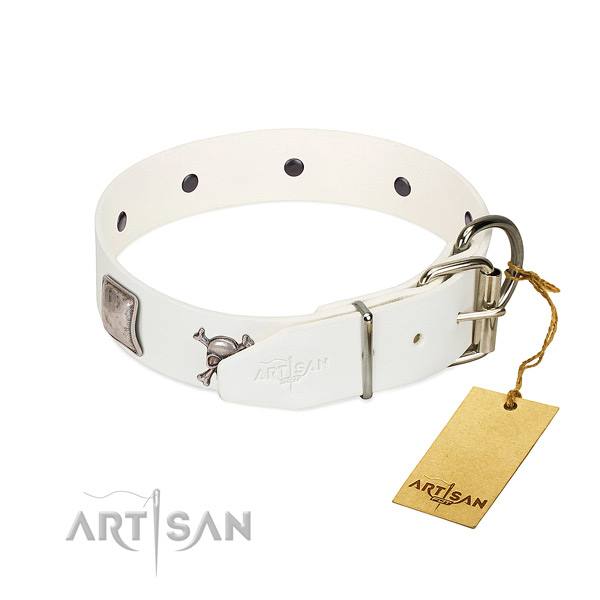 Unique genuine leather dog collar with reliable adornments