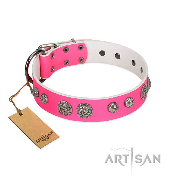Corrosion proof embellishments on full grain genuine leather dog collar for your dog