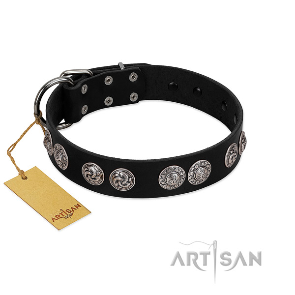 Impressive genuine leather collar for your canine walking