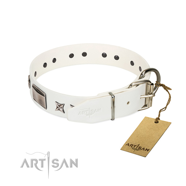 Fashionable collar of genuine leather for your attractive doggie