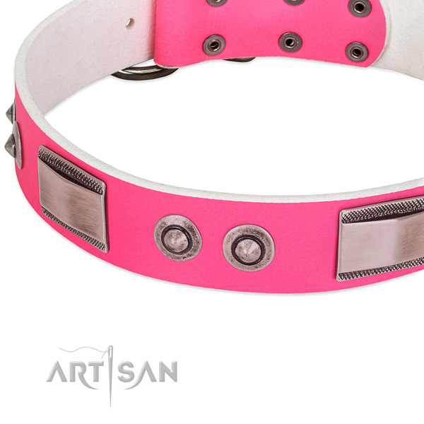 Easy wearing full grain leather collar with adornments for your dog