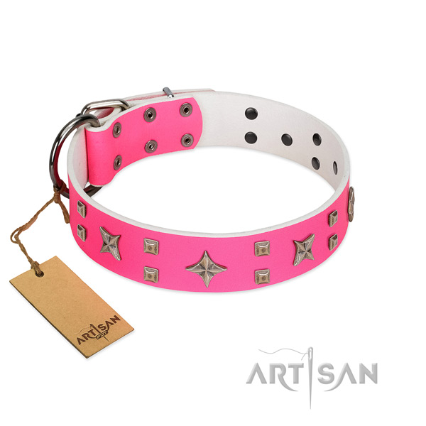 Reliable embellishments on leather dog collar for your canine
