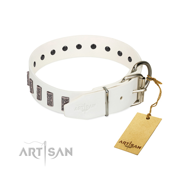 Durable D-ring on genuine leather dog collar for basic training your pet