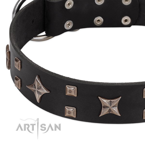 Corrosion proof D-ring on full grain natural leather collar for fancy walking your doggie