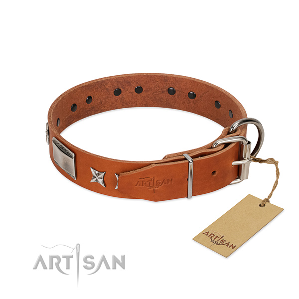 Extraordinary dog collar of leather