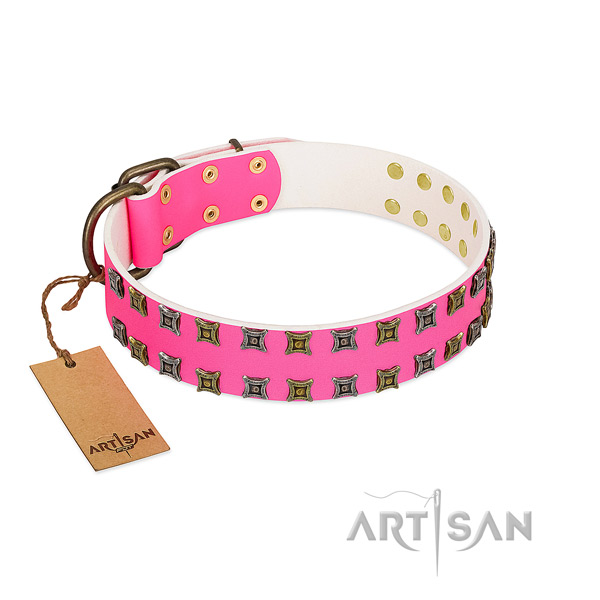 Genuine leather collar with remarkable studs for your pet