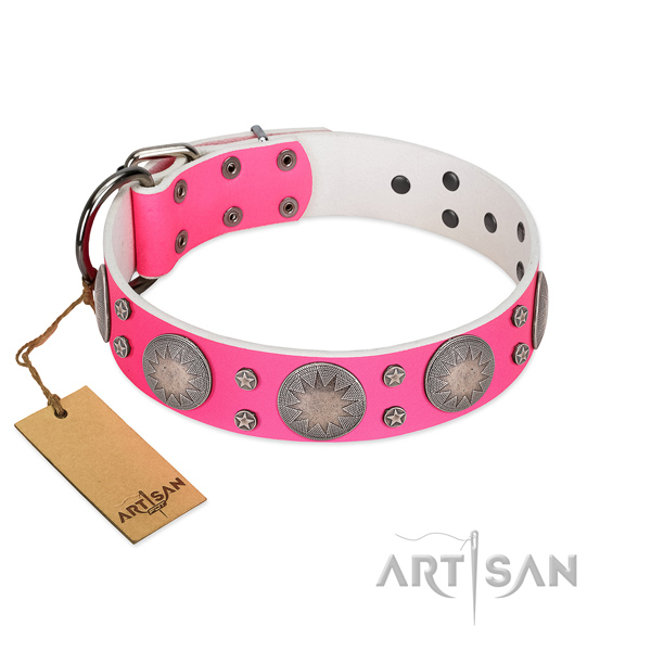 Top notch genuine leather dog collar with embellishments for daily use