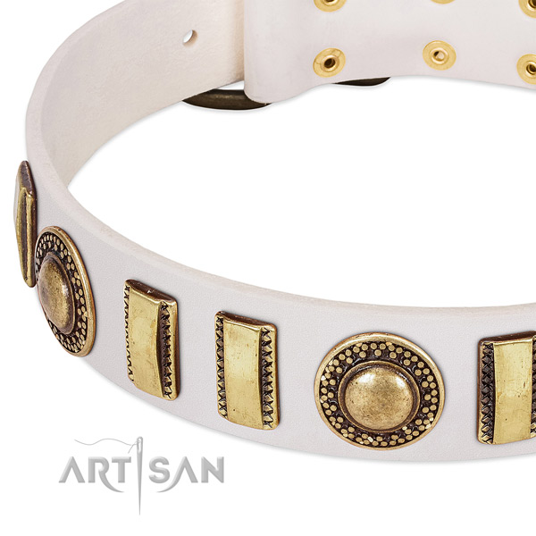 Durable full grain leather dog collar with corrosion resistant fittings
