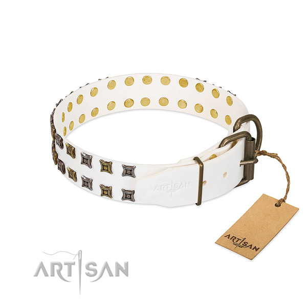 Genuine leather collar with top notch embellishments for your canine