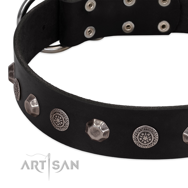 Amazing leather dog collar for handy use
