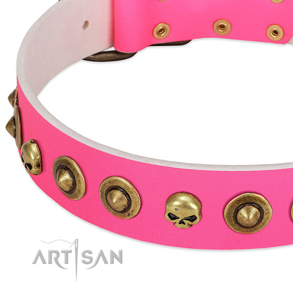 Stylish adornments on full grain natural leather collar for your pet