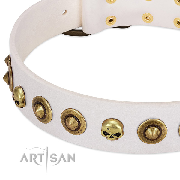Extraordinary studs on full grain leather collar for your four-legged friend
