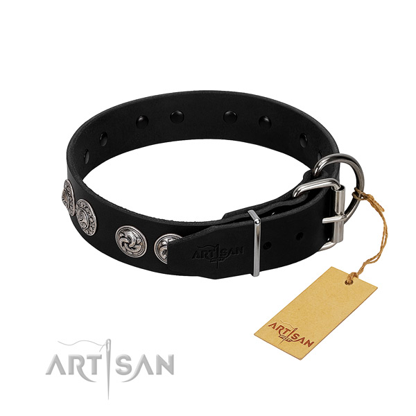 Extraordinary full grain natural leather collar for your canine walking