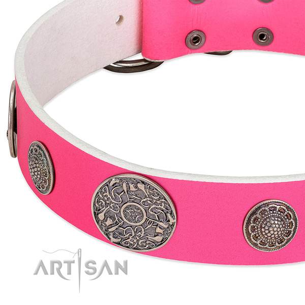Strong fittings on leather dog collar