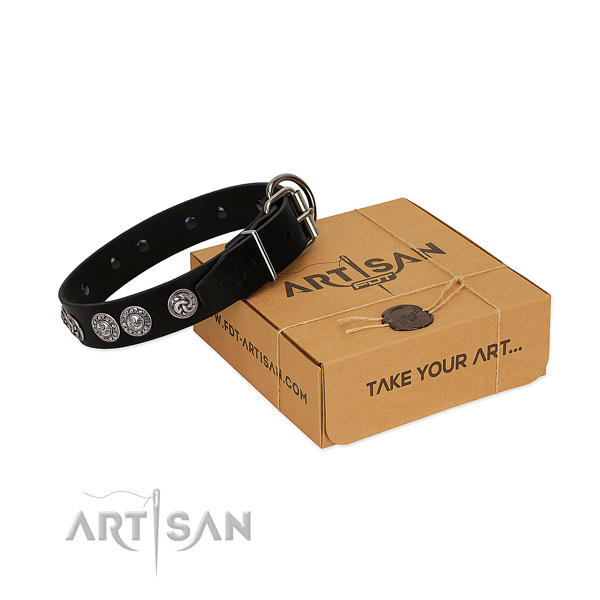 Extraordinary genuine leather collar for your dog walking