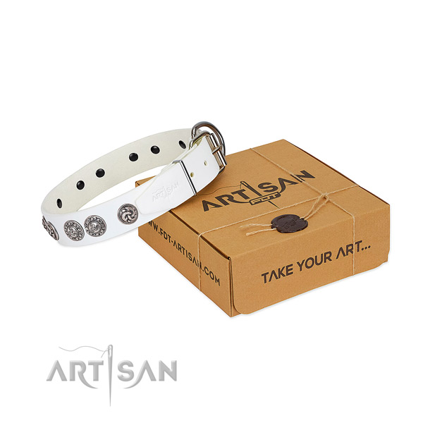 Stunning full grain genuine leather collar for your doggie walking